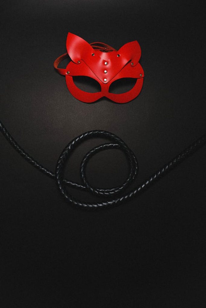 A red leather mask paired with a black whip, evoking themes of mystery and sensuality.
