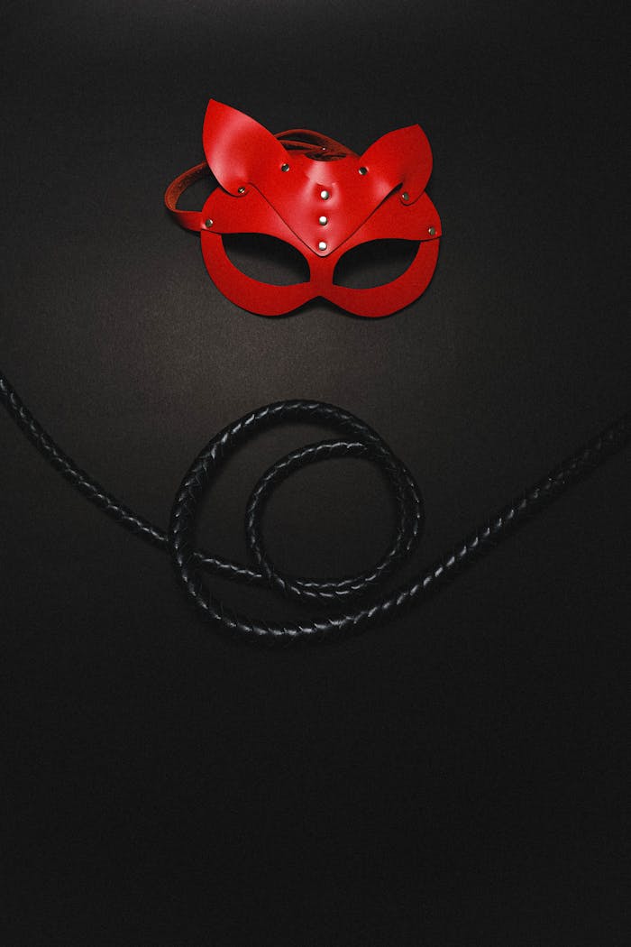 Mastering the First Impression: Your intriguing post title goes here A red leather mask paired with a black whip, evoking themes of mystery and sensuality.